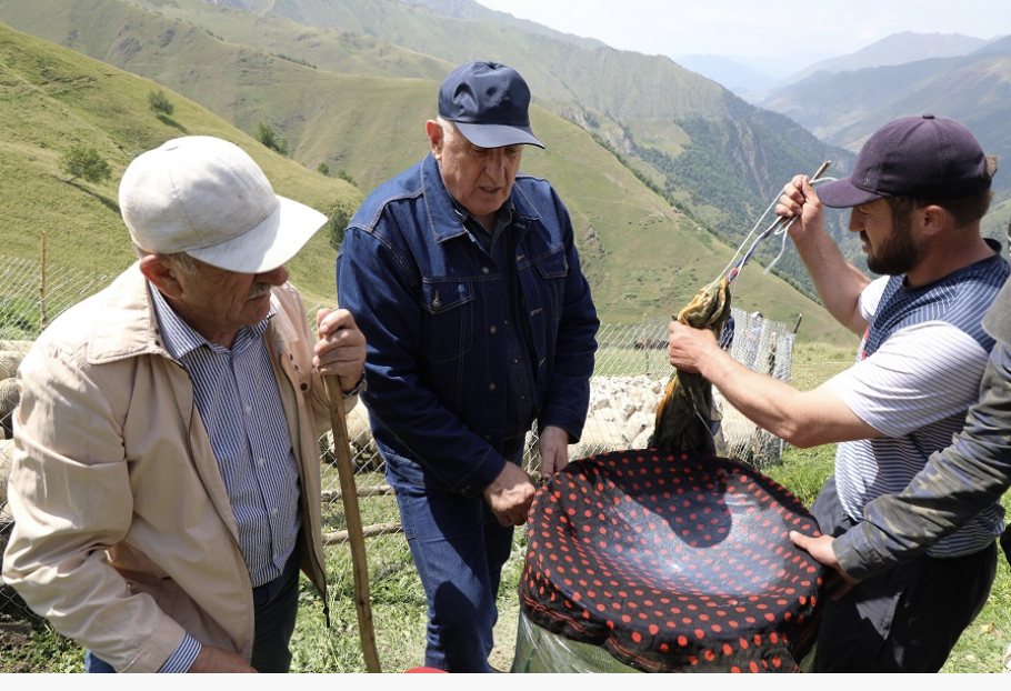 Абулмуслим Абулмуслимов ознакомился с технологией приготовления овечьего сыра в высокогорном селе Тляратинского района